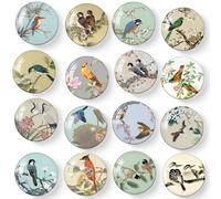 MORCART 16PCS Fridge Magnets, Magnets Decoration for Refrigerator Locker Whiteboard Decorative Magnetic Board Cabinets Classroom Office Cubicle (Bird)