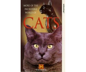 More Of The Incredible World Of Cats [VHS]