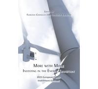 More with More: Investing in the Energy Transition (14)