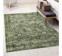 Morebes 5 x 7 Area Rugs Washable Boho Soft Living Room Rug, Non-Slip Non-Shedding Distressed Vintage Grayish Green
