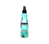 Morfose Quinoa & Hemp 2 Stage Conditioner - Leave-In Two-Phase Conditioner with Quinoa Oil and Hemp Seed for Intense Care and Shine 220ml (Quinoa & Hemp, 220 ml (Pack of 1))