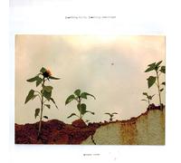 MORGAN NOISE - SOMETHING BUILT, SOMETHING REMEMBERED