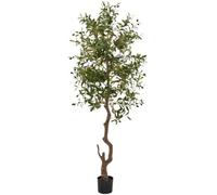 Morgan Olive Large Tree