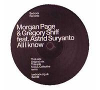 Morgan Page & Gregory Shiff - All I Know [12" VINYL]