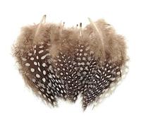 Morices Guinea Fowl Feathers, 100 Pack Natural Speckled Feathers for DIY Art Craft Collage Headdress Home Wedding Birthday Party Decoration