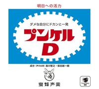 Morikawa Toshiyuki/H - Punkeru d