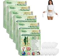Moringa X Berberine Nad Patches, 2026 New Natural 10-in-1 Advanced Nano Microneedle Patch,Suitable for Women and Men, All Skin Types (6Box)