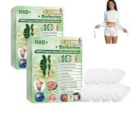 Moringa X Berberine Nad Patches, 2026 New Natural 10-in-1 Advanced Nano Microneedle Patch,Suitable for Women and Men, All Skin Types (2Box)