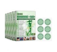 Moringa x Berberine Patch, Nano Microneedle Slimming Patch, Soft & Effective, Invisible Under Clothes, for Men & Women, Natural Ingredients, Easy to Apply