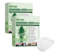 Moringa X Berberine Patches Microneedle, Berberine Patches For Weight Loss, Advanced Nano Microneedle Patch 10 In 1, Natural Skin Care Patch For Men And Women