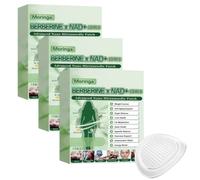 Moringa X Berberine Patches Microneedle, Berberine Patches For Weight Loss, Advanced Nano Microneedle Patch 10 In 1, Natural Skin Care Patch For Men And Women