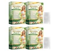Moringa X Berberine Slimming Patch, 10 in 1 Nano Microneedle Patch, Natural Slimming for Weight Loss, Flat Stomach, Easy to Apply, Invisible, Men & Women