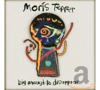 Moris Tepper - Big Enough to Disappear
