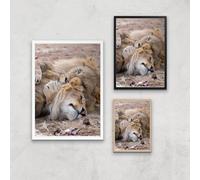 Morning Cuddles Giclee Art Print - A3 - Black Frame