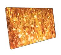 Morning Dew In Natural Grass Golden Autumnal Glow Nature Photography Wall Art Print On Canvas Picture For Home Office Decor 61x41cm (24x16In)