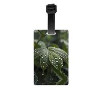 Morning Dew Luggage Tags Privacy Cover Travel Luggage ID Tags with, Bag, Backpack - Bright Colors Easy to Identify