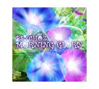 Morning Glory