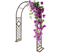 Morning Glory Climbing Plant Trellis Heavy Duty Steel Garden Arbor Arch for Weddings & Parties Stable Outdoor Pergola Decoration Bronze Finish (3.40m x 2.40m)
