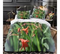 Morning Glory Double Duvet Cover Set 3D Printed Plants and Flowers Bedding Set Ultra Soft Microfiber Quilt Cover 200x200 cm with 2 Pillowcases with Zipper for Boys Girls Teens a.1551