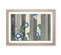 Morning Glory Flowers by Kamisaka Sekka Framed Print | A2 Oak Framed Wall Art | Ready to Hang | Modern Floral Picture | Living Room Bedroom Lounge Office