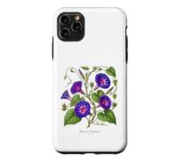 Morning Glory plant illustration Ipomoea purpurea Case for iPhone 11 Pro Max