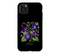 Morning Glory plant illustration Ipomoea purpurea Case for iPhone 11 Pro Max