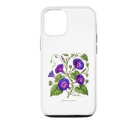 Morning Glory plant illustration Ipomoea purpurea Case for iPhone 12/12 Pro