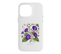 Morning Glory plant illustration Ipomoea purpurea Case for iPhone 14 Pro Max