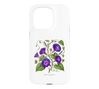 Morning Glory plant illustration Ipomoea purpurea Case for iPhone 15 Pro