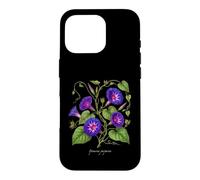 Morning Glory plant illustration Ipomoea purpurea Case for iPhone 16 Pro