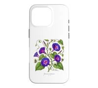Morning Glory plant illustration Ipomoea purpurea Case for iPhone 16 Pro