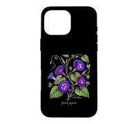 Morning Glory plant illustration Ipomoea purpurea Case for iPhone 16 Pro Max