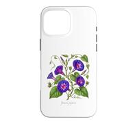 Morning Glory plant illustration Ipomoea purpurea Case for iPhone 16 Pro Max