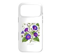 Morning Glory plant illustration Ipomoea purpurea Case for iPhone 17 Pro Max