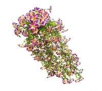 Morning Glory Vine Artificial Decor for Outdoor Garden Patio and Event Backdrops Using Plastic and Lifelike Blossom Representation (C)