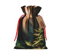 Morning Sunlight In Wilderness Christmas Drawstring Gift Bags, Xmas Bags With Tags, Reusable Santa Wrapping Bag