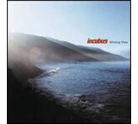 Incubus - Morning View [VINYL]