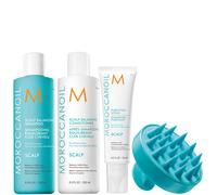 Moroccanoil Scalp Balancing Bundle + Free Scalp Brush (Worth £89.75)