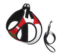 Morocco Flag Map Print Small Dog Harness And Leash Set, Adjustable Soft Vest With 360° Reflective Straps For Cats Puppy