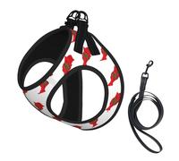 Morocco Flag Map Print Small Dog Harness with Leash Set, No Escape Easy Walk Puppy Harnesses for Training Walking