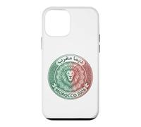 Morocco Jersey 2026 Dima Maghreb Atlas Lion Morocco Foot Case for iPhone 12 mini