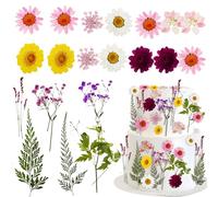 Morofme Wildflower Cake Toppers Flowers Cake Decorations Spring Cupcake Toppers Wildflower Theme Cake Decoration Baby In Bloom Baby Shower Dried Pressed Flower for Birthday Wedding Party Supplies