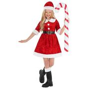 Morph Girls Santa Costume, Girl Mrs Claus Costume, Santa Claus Costumes Kids, Santa Outfit Girls, Miss Claus Outfit Kid 12-14 Years