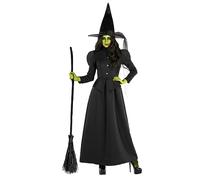 Morph Womens Witch Costume, Halloween Witches Costumes Adult Women, Witches Outfits For Women, Womens Halloween Costume Adult, Large