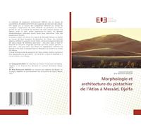 Morphologie et architecture du pistachier de l’Atlas à Messâd, Djelfa