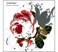 Morphologue - Flower Art Pictures