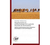 Morphométrie et endocrinologie de la glande thyroïde du dromadaire: Aspects morphométriques dans l'adaptation physiologique et états pathologiques (Omn.Pres.Franc.)