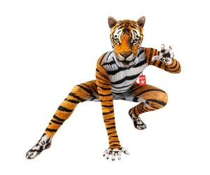 Morphsuits, Orange Tiger Kids, Kids Halloween Costume, S