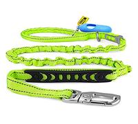 morpilot Elastic Dog Leash, Strong Leash with Dog Seat Belt & Soft Handle for Medium and Large Dogs, Reflective Leash for Pets for Safe Walking at Night with Dogs + Trash Bag (Green)