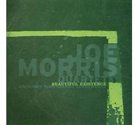 Morris, Joe Quartet - Beautiful Existence